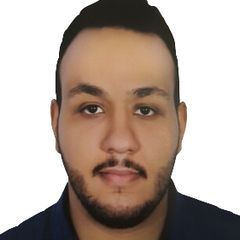 هشام محمود حسين المازني, Call Center Agent 