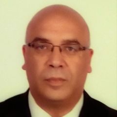 Hossam Mohammad, sales team leader