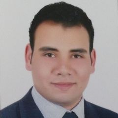 Ahmed Fadl, Systems Engineer