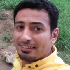 نبيل الاديب, Protection Associate (Cluster)