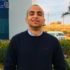 أحمد حسنى, Reporting Analyst