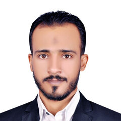 أحمد رفاعى, Territory Sales Manager