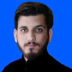 Ali Hamza Siddiqui