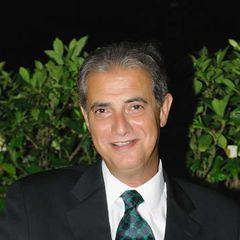 جمال Alieh, business development executive