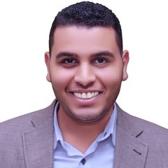 أحمد حسنى احمد, Site Manager