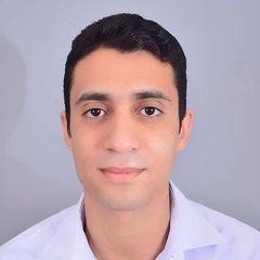 علي شباني, maintenance du matériel informatique
