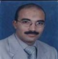 وائل عبادة, programmer executive & business consultant