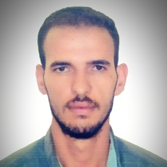 Gamal  Nagy , Site Civil Engineer