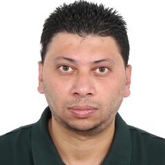 Mahmoud Ramadan  Ayoub, Implementation Management