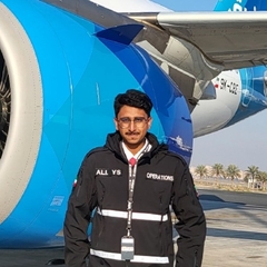Ali Sinji, passenger service agent
