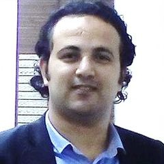 Wael Mokhtar Abdelsattar, Senior Accountant