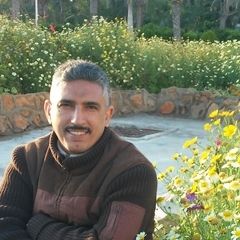ihab radwan, مدرس رياضيات-مدرب حاسب آلى