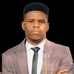 Hamid Abdalla Mohamed Ibrahim , FreeLancer Odoo Developer