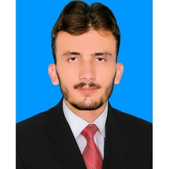 Syed Tasadduq Hussain Shah, Electrical Engineer