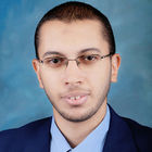 Ahmed Mohamed Salah Eldien, Consultant