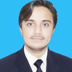 Abdullah Peerzado, Cashier And Data Entry Operator