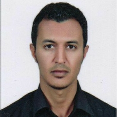 Osama Saleh