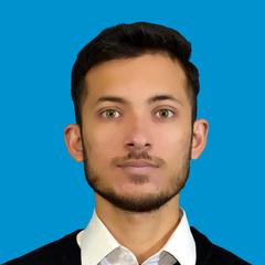 Hassan Raza