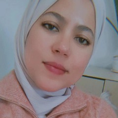 AMENI JOUILA, TENDER & BID ENGINEER
