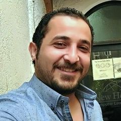 Hani Aladoli, Web Developer