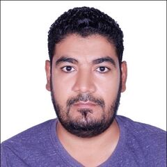 Mahdy Abo Bakr, مدير مشروع