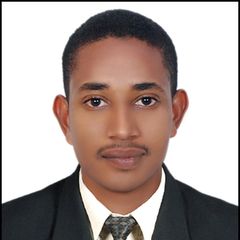 Emad Mohammed Osman El Egaily, Project Engineer