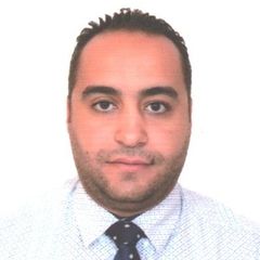 Mohamed Mekawy, Business Development Manager
