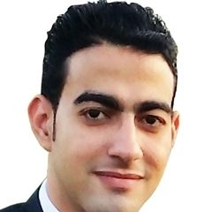 Abdelhamid Lasheen, أخصائي سياحة