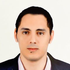 حسام الدالي, Financial Analyst