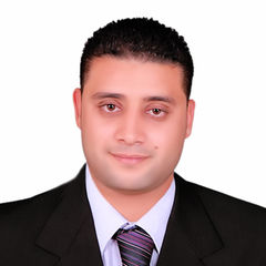 Mohammed Ahmed Abdel-Shakour, مهندس تنفيذى