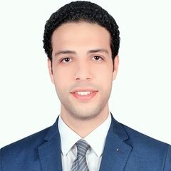 Mohamed Abu-Shokr, AV Projects Engineer
