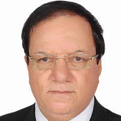 Ahmad Mamdouh Alsaghir