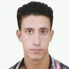 سيف الدين سعيد عبدالمنعم الصياد, مدرس