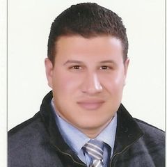 Mahmoud Aboelenain, مدير مشروع