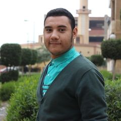 Ahmed Abdel Moniem, Site Manager