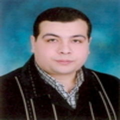 Maikel Nabih Abdel - Malik, Freelancer in Computer maintenance