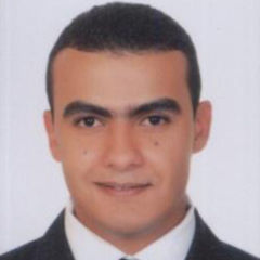 Amr Elsayed, Reservoir Engineer. Management