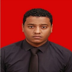 أحمد الياس احمد محمد, key accounts sales manager