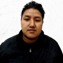 Binamra Shrestha, Document Controller