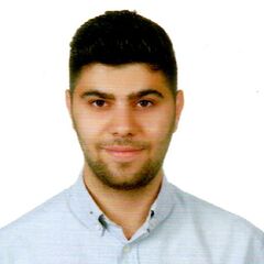 Sami Shams Aldin, Data Analyst