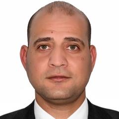 Mostafa Abdelmawla , MEP Project Manager