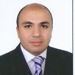 Ahmed Essam, Senior Accountant