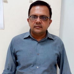 Purvesh Ramavat, Consultant
