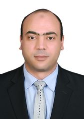 Wael Hafez, Associate Director- Human Capital Consulting 