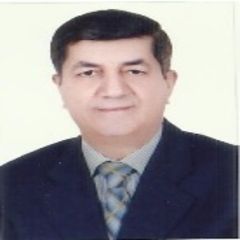 على الرمحي, Internal Audit Manager