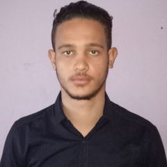 محمد البوصيري زرارقة