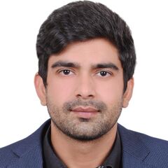 Muhammad  Naveed, Subject Trainer for Economics and Business