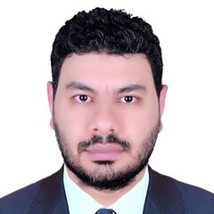 Alaa Hamdy Ahmed, Senior Accountant 