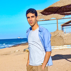 Amr Abuzeid