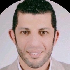 Mahmoud El Sebaie